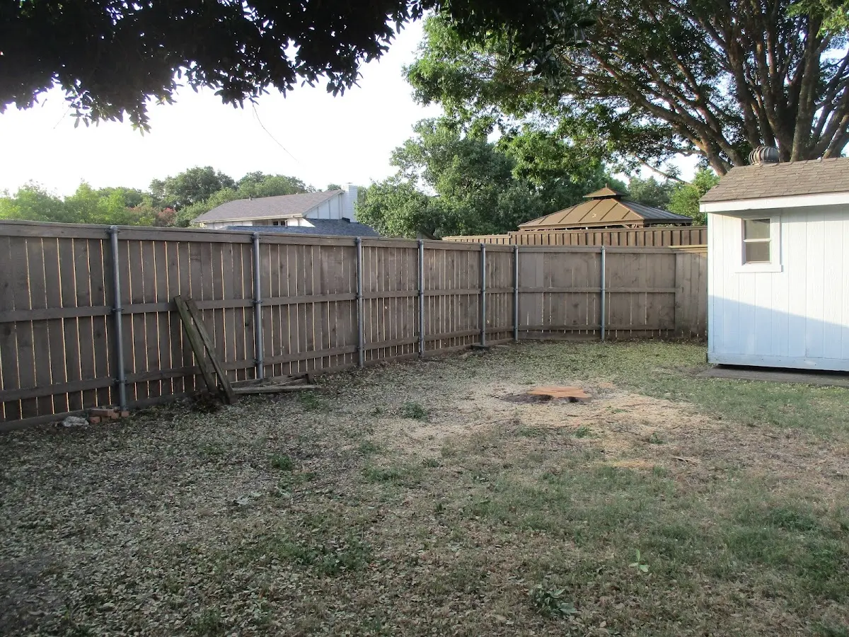 Cleared yard after professional tree removal in Stewartsville
